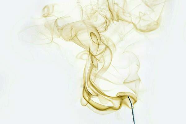 NOEL J-1 : Diffusion anti odeurs de cuisine.