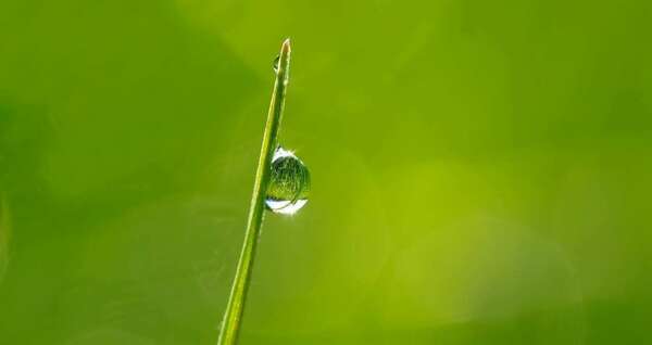 Obtention du diplôme de Naturopathe Heilpraktiker