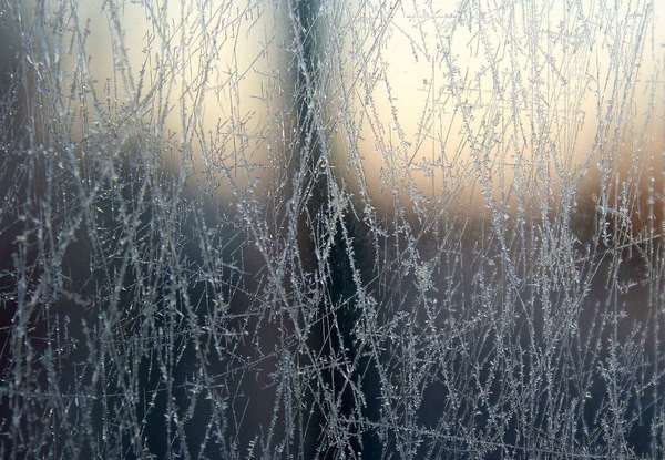 Newsletter février 2018