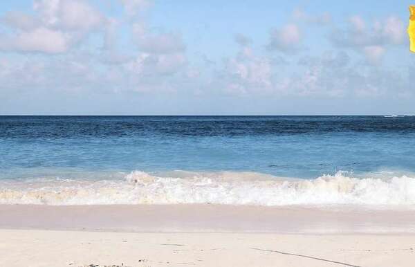 Newsletter juillet 2018