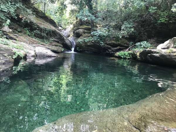 Énergie & Glande Pinéale