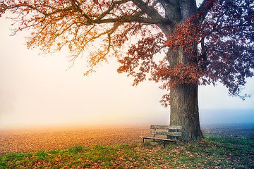 Communiquer avec les êtres de la nature