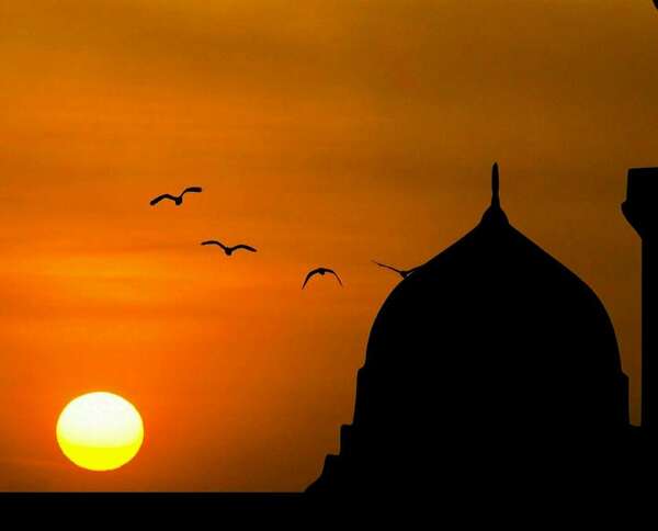 Qu'est ce que la fausse lumière ?