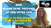 severine cabrit haut jaune fleur magnétisme profond adn