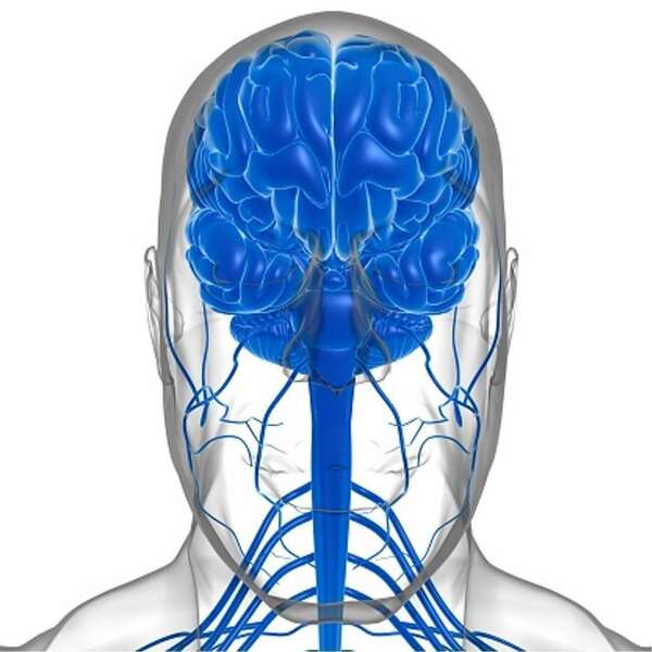 Comment décalcifier la glande pinéale ?