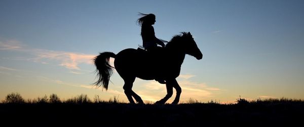 Maîtriser son mental