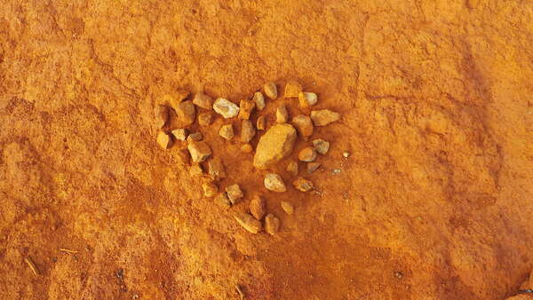 Le langage émotionnel