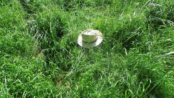 Ces émotions qui nous chapotent