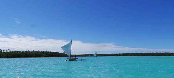 Les délices du contentement