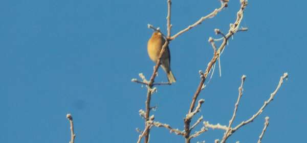 Être à l'écoute de soi