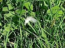 Accompagnement par l'écriture