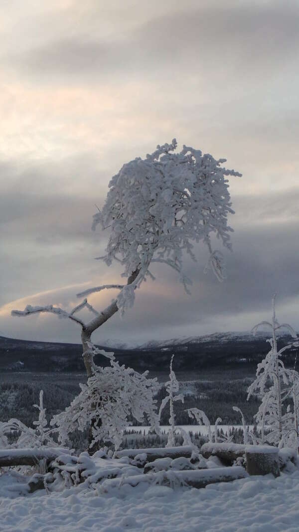 La voix naissante du silence