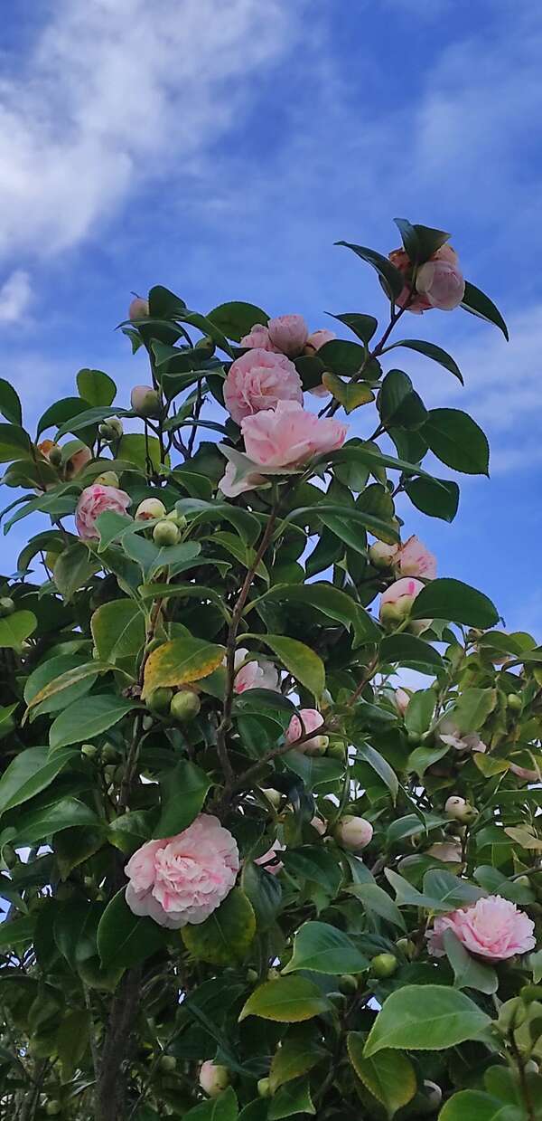 De l'écoute intérieure...                                                                         à l'écoute extérieure