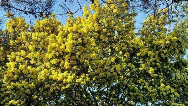 Perception nouvelle au regard déssillé