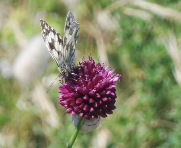 Le changement en soi