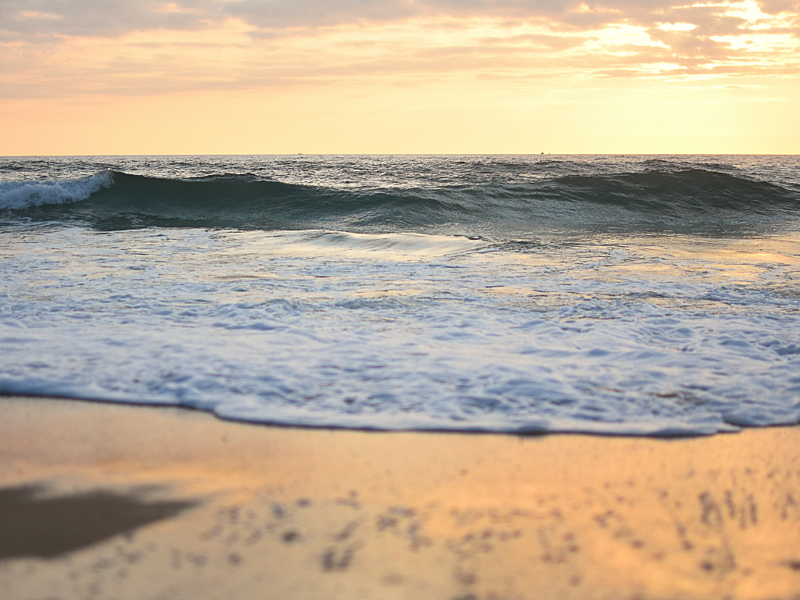 conciergerie à Capbreton, Hossegor