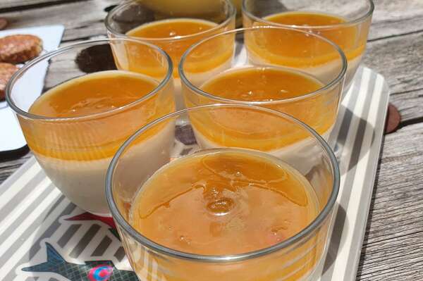 Panna cotta coco/vanille