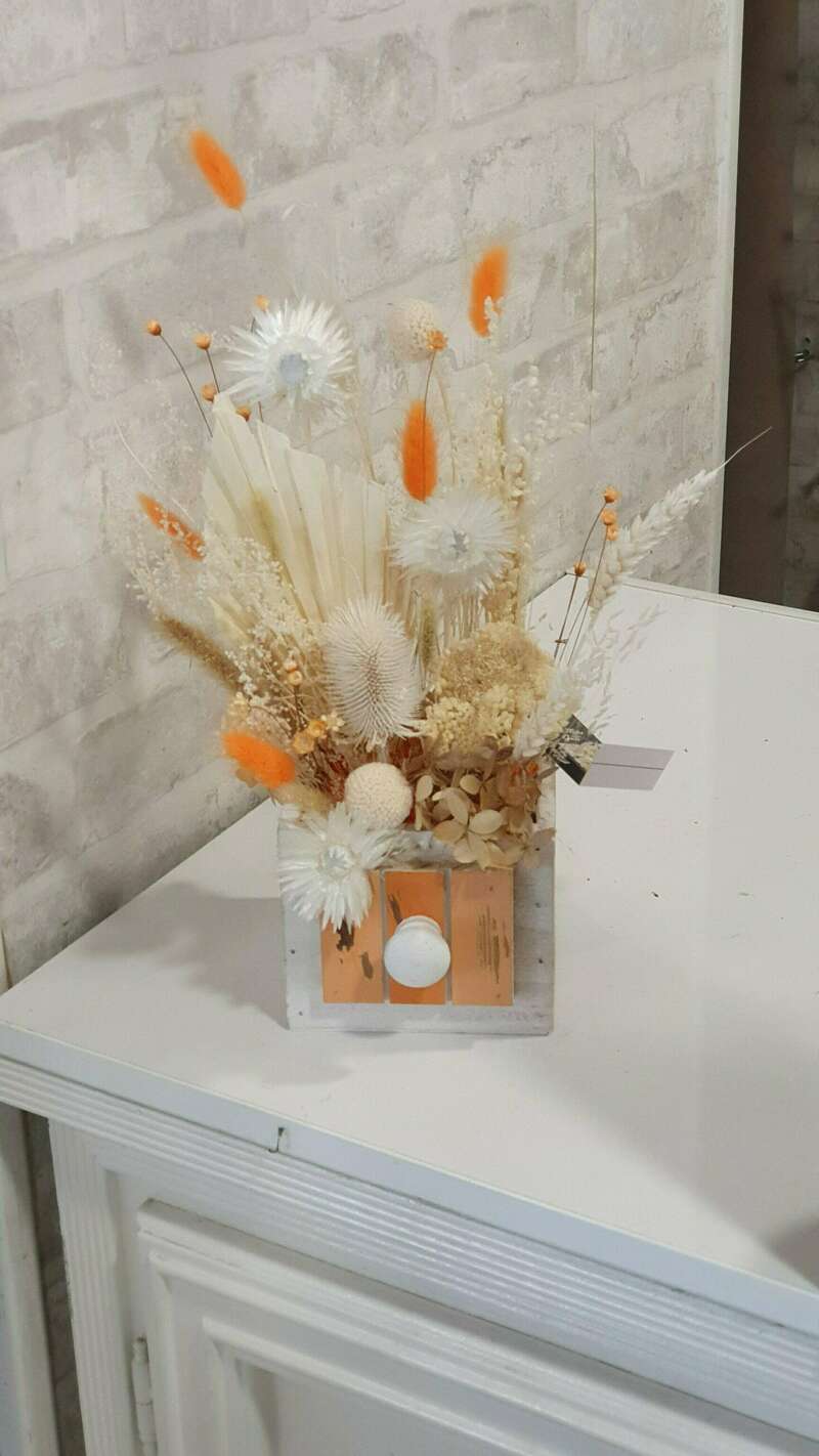 20220429_10003320221116-1276703-1xn520l