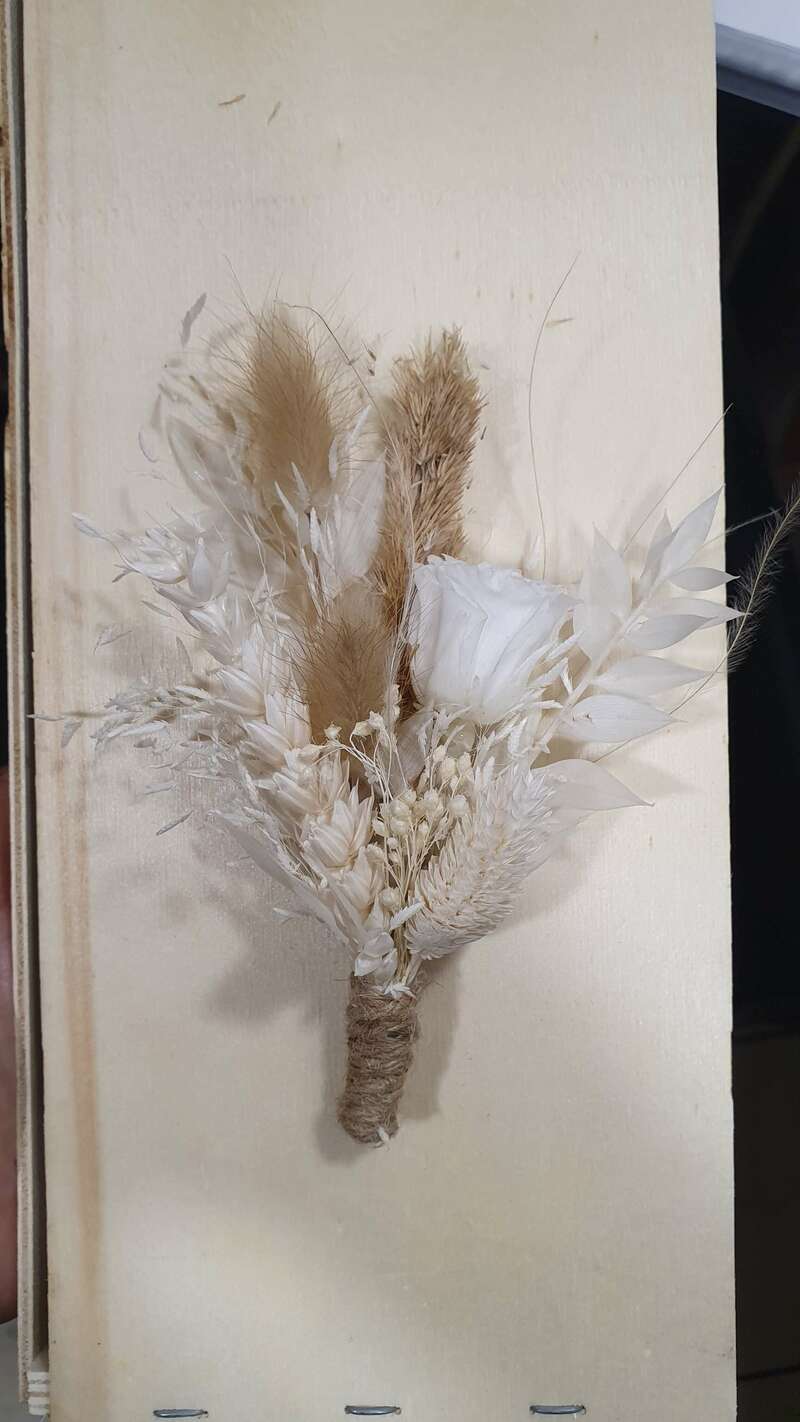 20220611_16484520221116-1460151-1v7kbi2