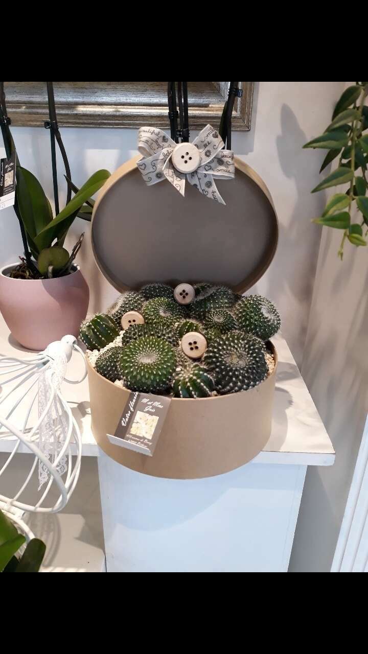 screenshot-20200425-184451-gallery-1