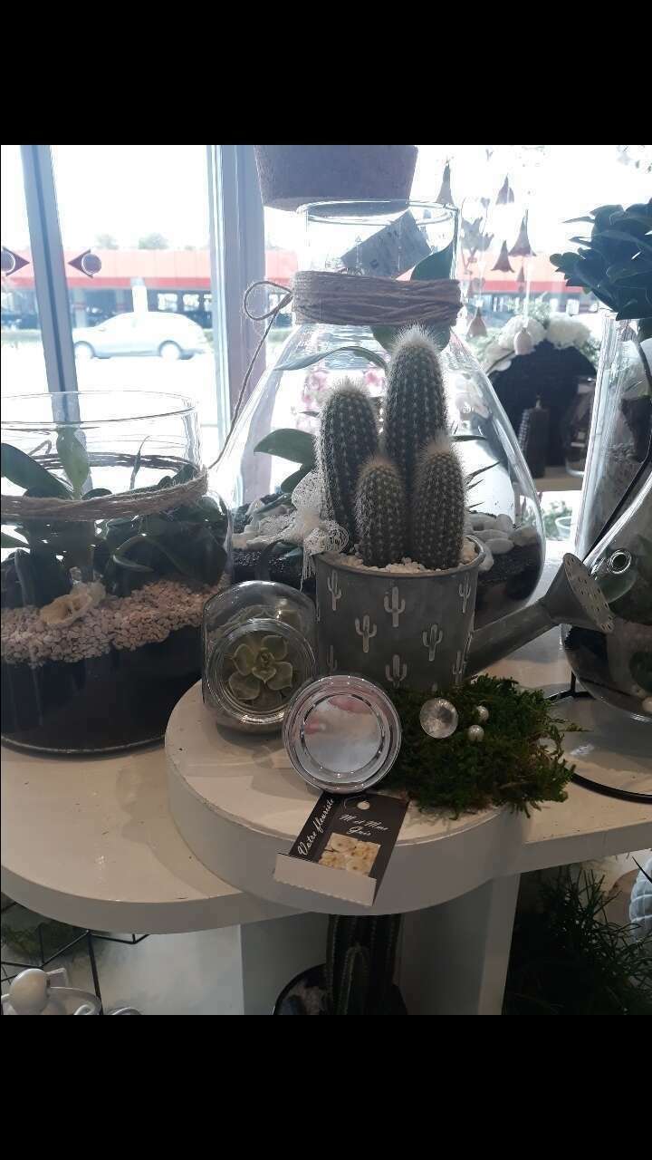 screenshot-20200425-184415-gallery-1