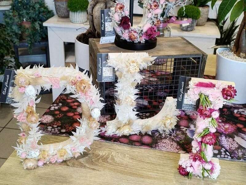 screenshot_20221005_184600_edit_17770859265783320221114-3076010-jj7peg