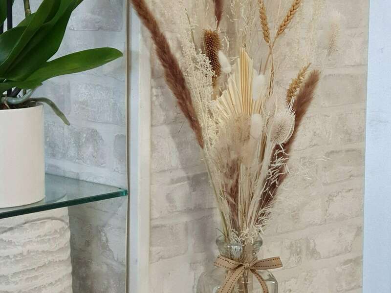 20220429_09504920221116-1276806-jj7peg