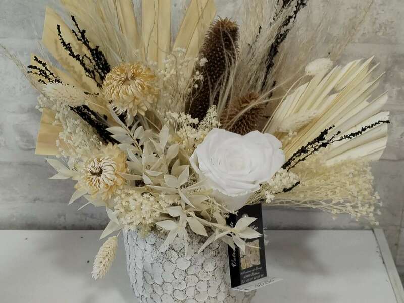 img_20220708_18353220221116-1276806-uzbhfk