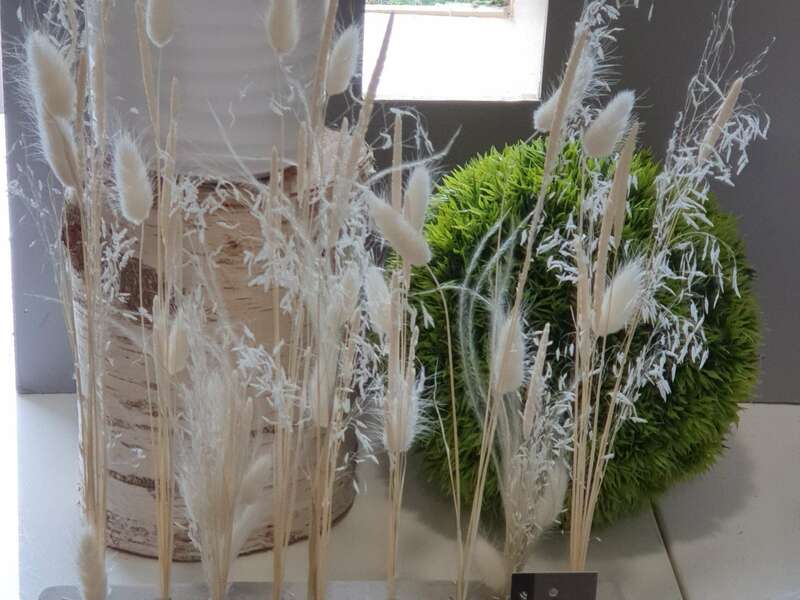 20220429_09545220221116-1276703-g5qa46