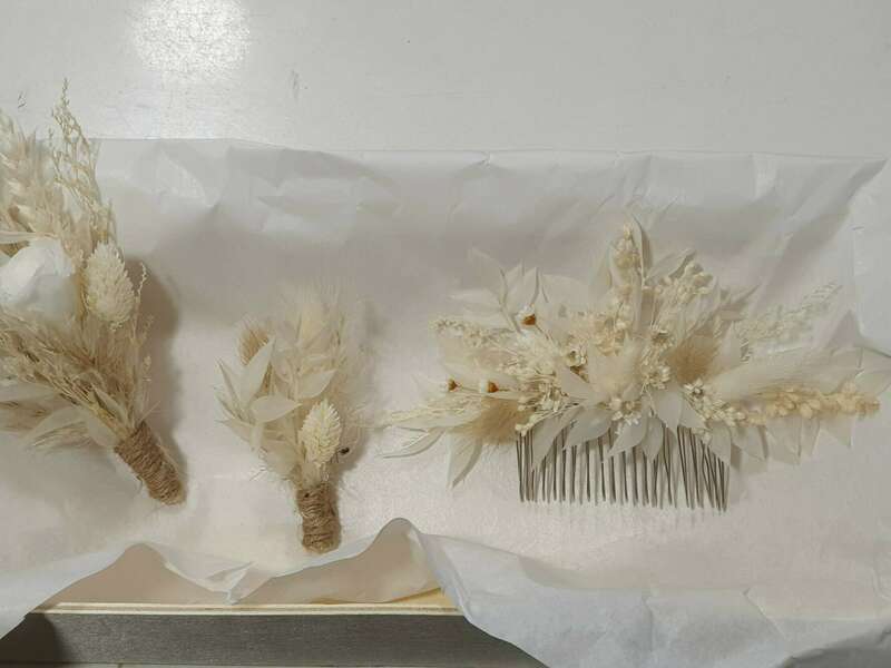 20220608_18495120221116-1465334-1pr6hkn