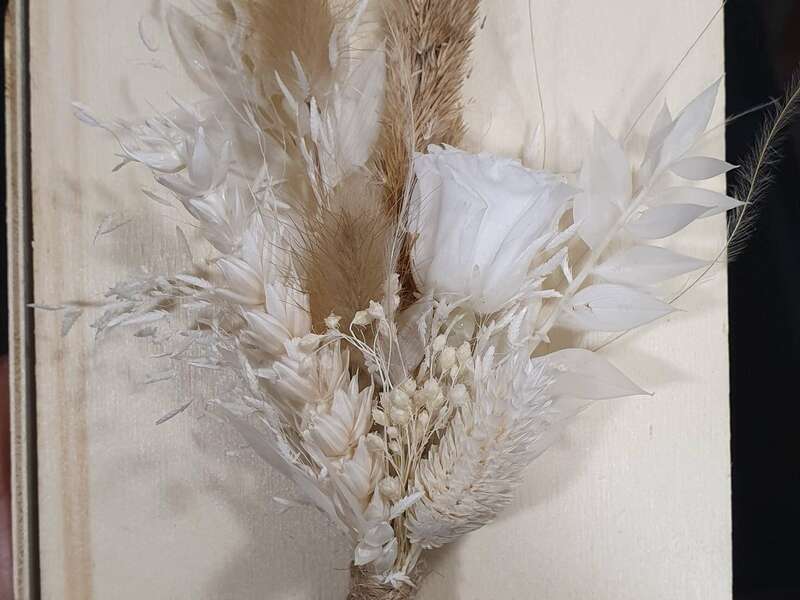 20220611_16484520221116-1460151-1v7kbi2