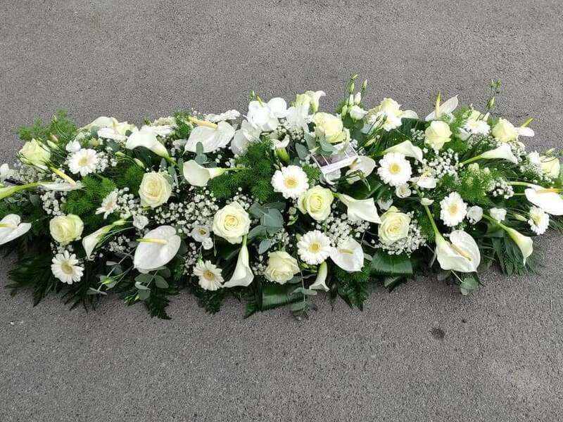 received_2952088575086684