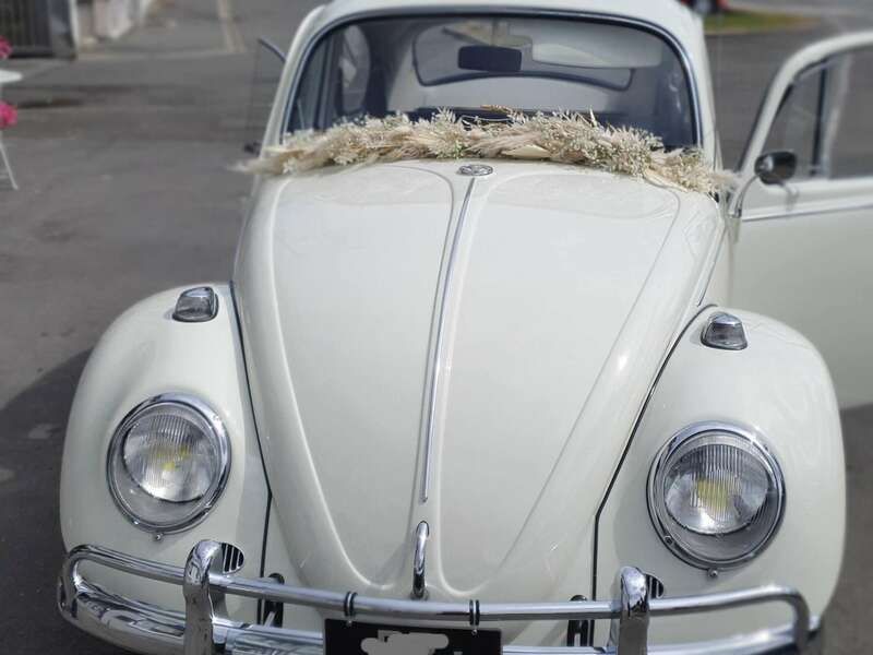 20220521_112729_edit_620270211882498