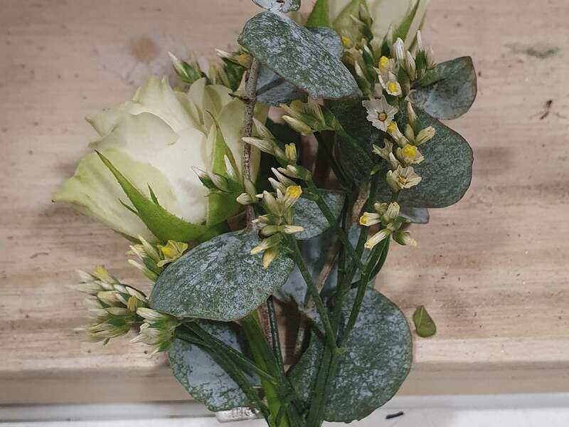 20211210_150700_edit_621065474075112