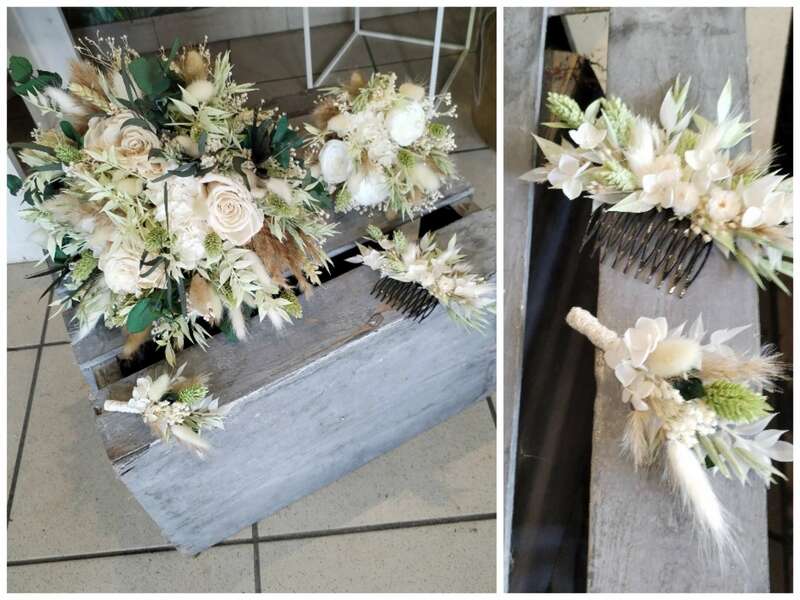 collage_20241011_092431