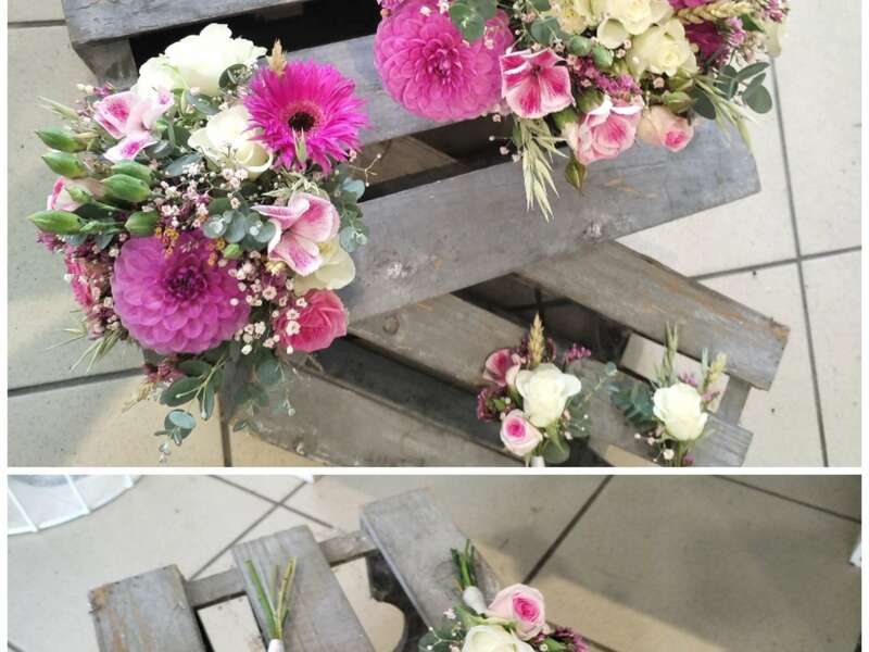 collage_20241011_092541