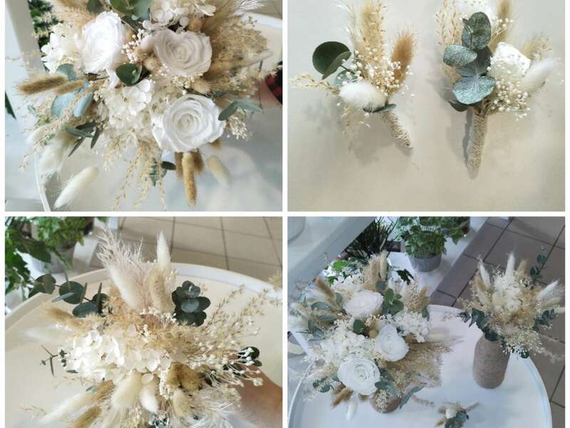 collage_20241020_130826