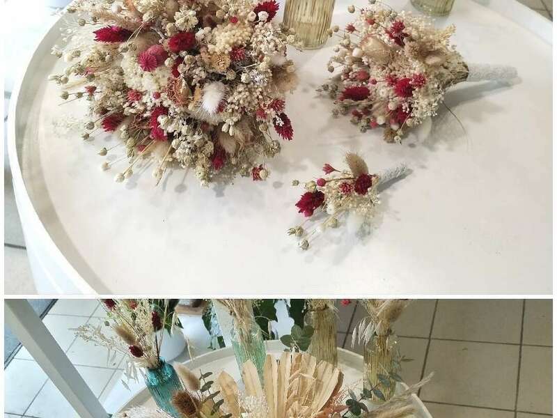 collage_20241020_131301