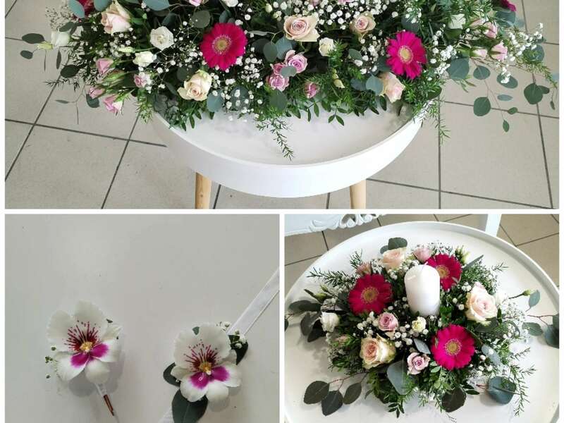 collage_20240427_091152