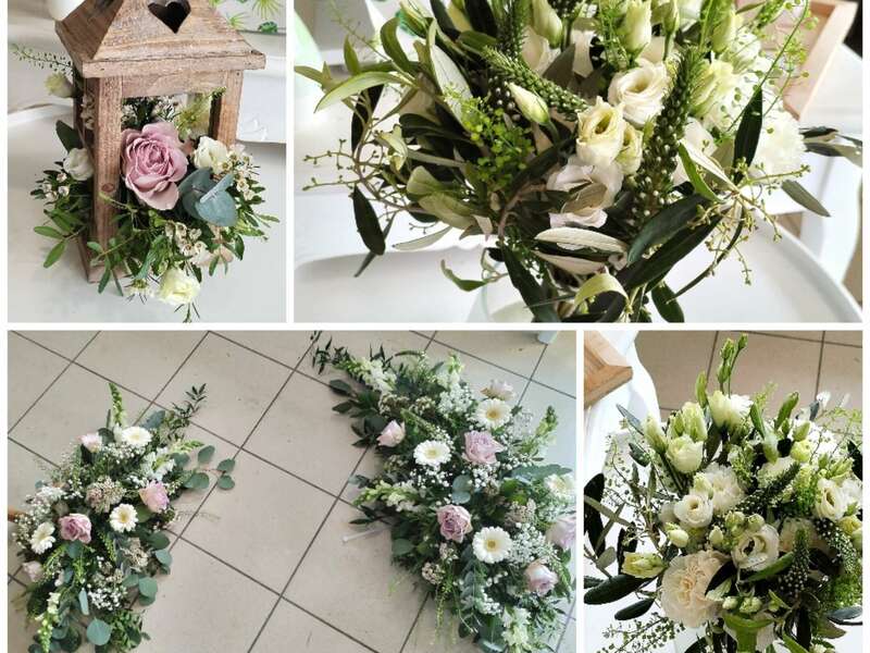 collage_20240513_181041