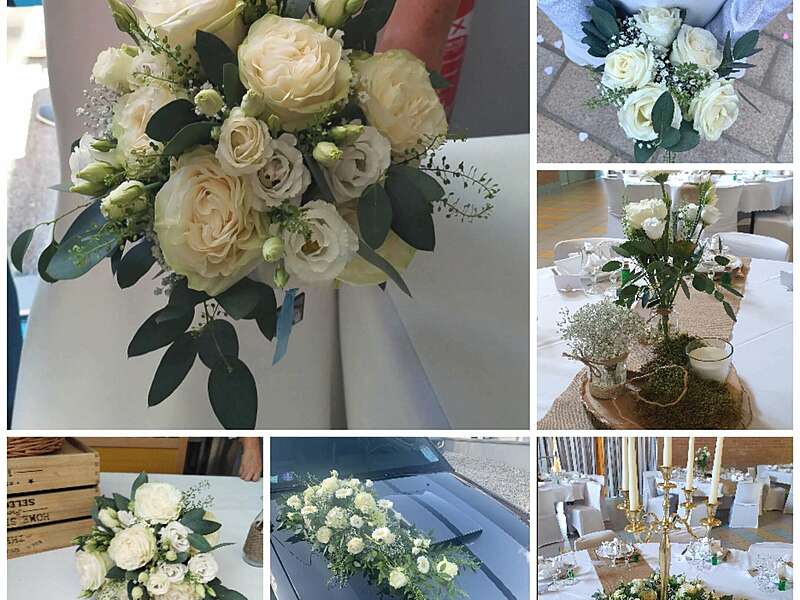 collage_20230928_162013