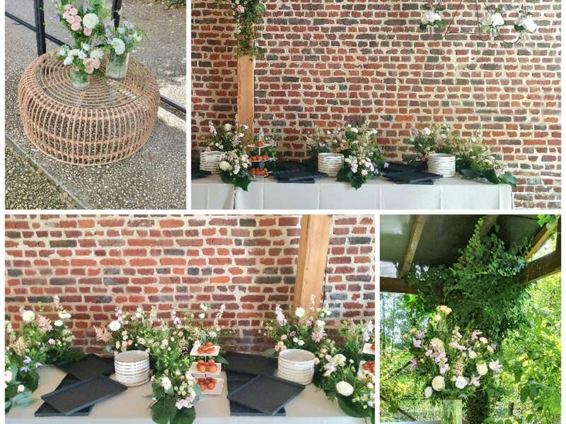 collage_20231117_135206