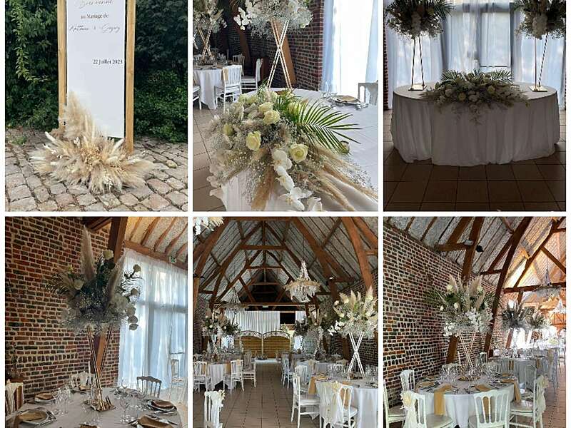 collage_20230722_083227