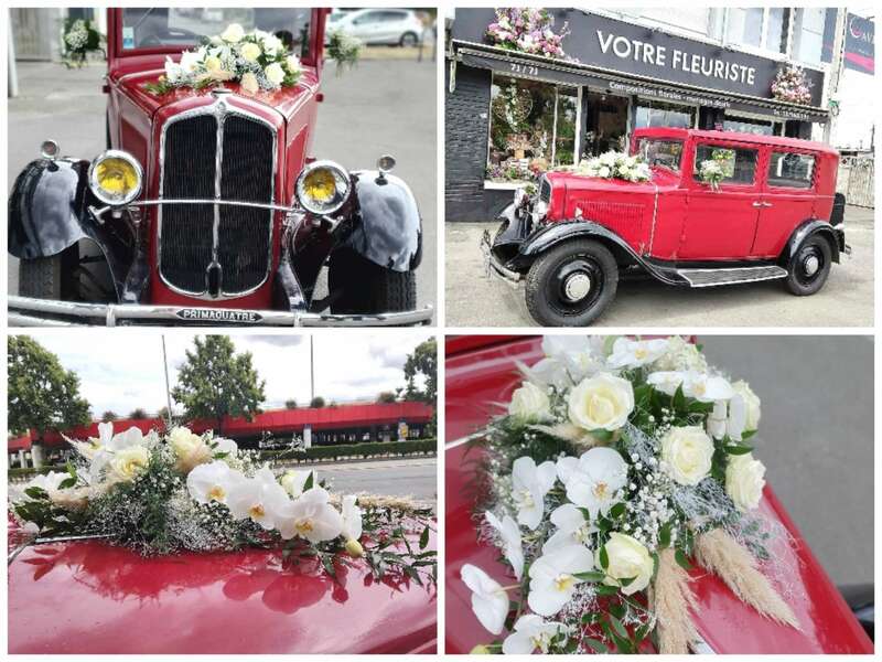 collage_20230724_101242