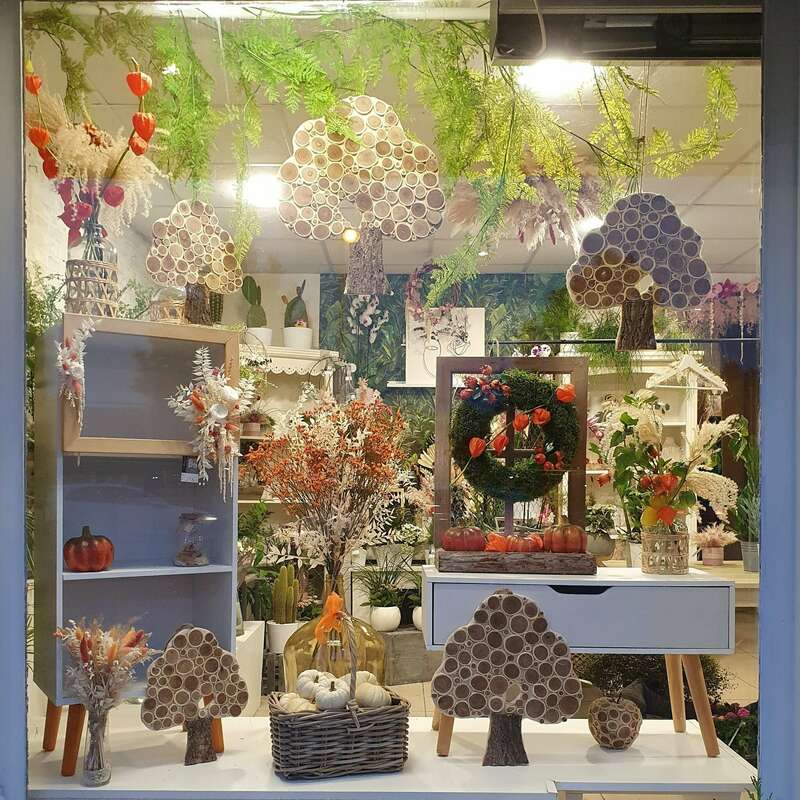 img_20231006_155405_428