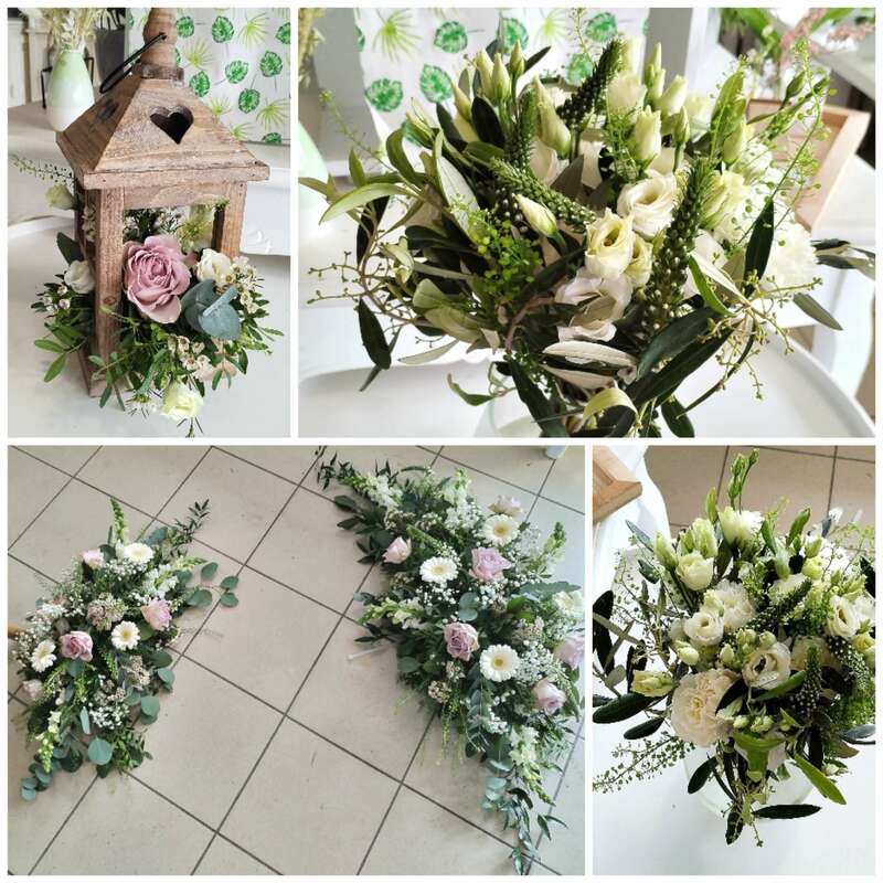 collage_20240513_181041