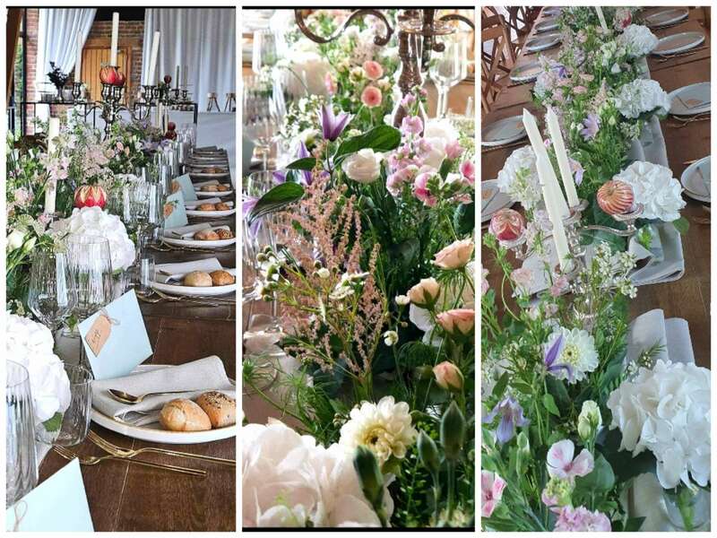 collage_20231117_135135