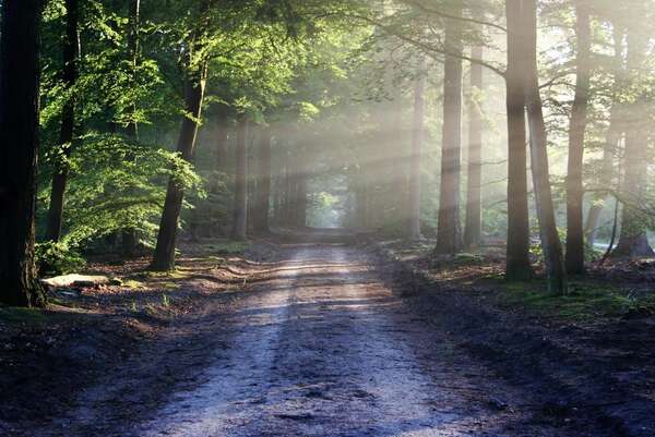 Pour tout savoir sur la Sophrologie Caycédienne