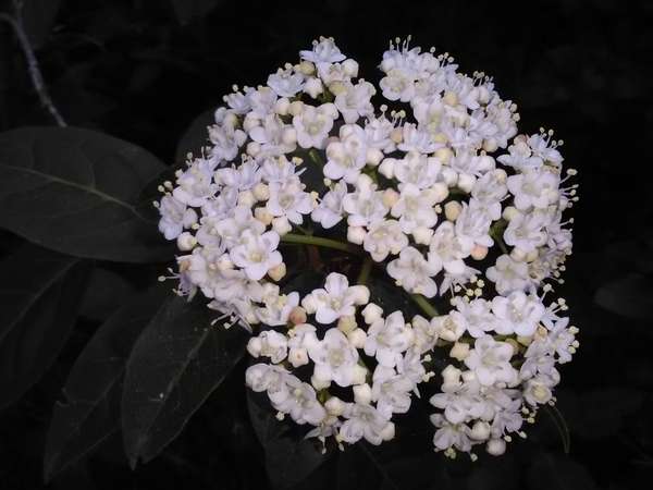 Le printemps est arrivé!