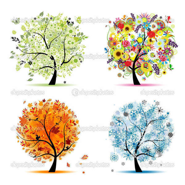 Les 5 saisons et la Réflexologie